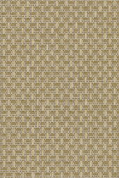 Tapeta Arte Wildwalk Ferox A28064