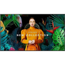 Monitor profesjonalny QM43C 43 cale Matowy 24h/7 500(cd/m2)