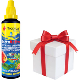 TROPICAL Bacto-Active 30ml + próbka karmy dla rybek
