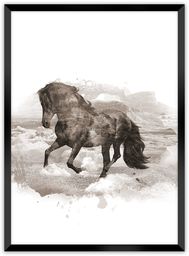 Plakat Horse, 50 x 70 cm, Ramka: Czarna