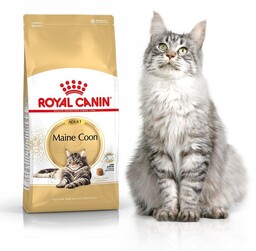 ROYAL CANIN Maine Coon Adult 4kg