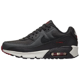 Buty NIKE AIR MAX 90 LTR GS (CD6864