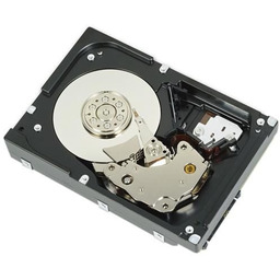 Dell 146GB 10K 2.5 INCH SAS HDD