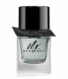 Burberry Mr. Burberry Woda toaletowa 50 ml