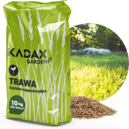 Trawa uniwersalna Riset szybko zagęszczająca 1 kg 50