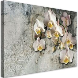 Obraz na płótnie, Słoneczne orchidee kwiaty 120x80