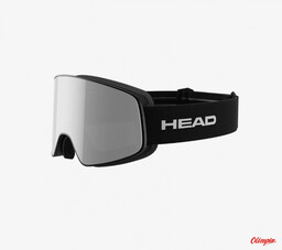 Head Gogle narciarskie HORIZON RACE + SL silver/black