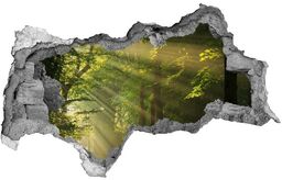 naklejka fototapeta 3D widok Las w słońcu