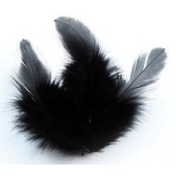 Pióra Koguta - Czarne