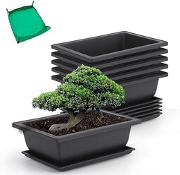 GROWNEER Doniczki treningowe bonsai 25 cm z tacami