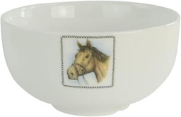 Boerenwinkel KOM Paard