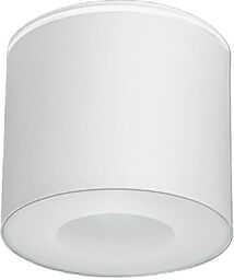 Natynkowa LAMPA sufitowa HEXA 9564 Nowodvorski metalowa OPRAWA