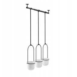 Kwietnik potrójny czarno biały Triflora Umbra