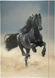 folia 69001 - Folder A3 Basic Black Horse,