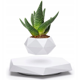 Lewitująca Doniczka Na Bonsai Flyte Lyfe Magnetyczna Doniczka