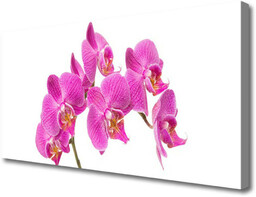 Obraz Canvas Orchidea Kwiaty Natura
