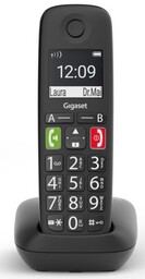 GIGASET Telefon E290