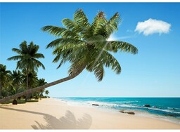 Fototapeta plaża XXL 360 x 254 cm, 4