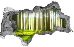 naklejka fototapeta 3D widok Las w słońcu
