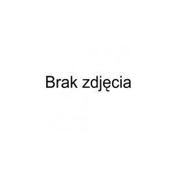 Techly ICA-TB TPM-10 stojak na laptop Czarny