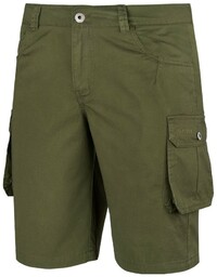 Spodenki męskie turystyczne Alpinus Hekla zielony