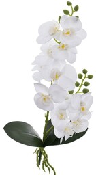 STORCZYK GAŁĄZKA KWIAT ORCHIDEA ŁODYGA 50CM