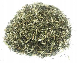 BYLICA ROCZNA ZIELE BYLICY ROCZNEJ 1 KG 100%