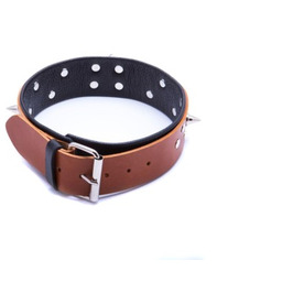 Wiązania-WHIPS obroża męska ze smyczą, koniakowa