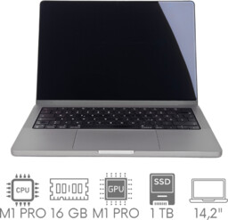 Apple MacBook Pro 14 A2442 M1 PRO 16GB