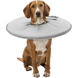 Trixie Kołnierz ochronny, mały, 30-34 cm/19,5 cm, szary