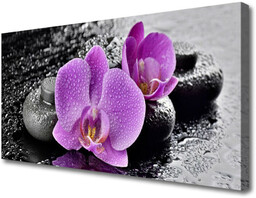 Obraz Canvas Storczyk Kwiaty Orchidea Spa