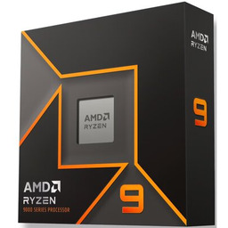 AMD Ryzen 9 9900X