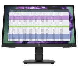 HP P22 G4 22 22" Full HD IPS