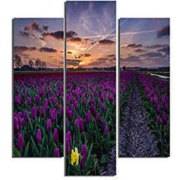 Homemania Fioletowy obraz 3-częściowy-natura i krajobrazy-przez salon, sypialnia-wielokolorowe,