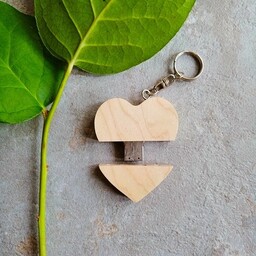 Pakamera Pendrive SteamMEMORY of Wood