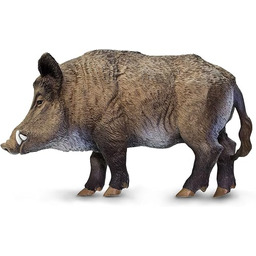 Safari- Dzik Zwierzęta, Wielobarwny (S224229)