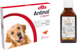 BIOVICO ANTINOL SIZAROL PIES 30 tabletek NA STAWY