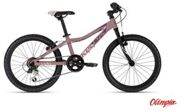 Kellys Rower Lumi 30 20" Rose Gold