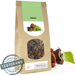 Suplement diety, MycoMedica CHAGA - suszony grzyb 100g.