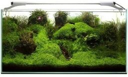 AQUAEL Leddy Slim 10W Sunny D&N