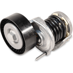 MAPCO 24951 Napinacz, pasek klinowy wielorowkowy