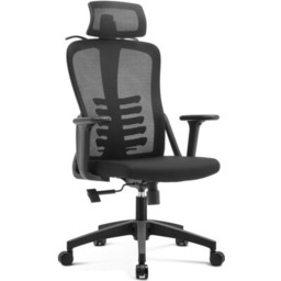 XQUANTUM Fotel ECH300K Czarny