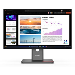 Lenovo Monitor ThinkVision P24q-40, 23,8", Systemy ochrony przed