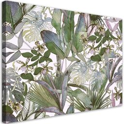 Obraz, Tropikalne liście monstera 60x40