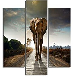 Homemania obraz słonia-3 sztuki-zwierzęta w salonie, sypialnia-wielokolorowe, 57