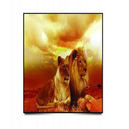 PUZZLE Pejzaż Krajobraz Afryka Lew A3 252 el