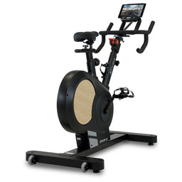 BH FITNESS Rower spinningowy Xcalibur Magnetic H9340