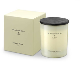 Cereria Molla Świeca zapachowa 230 g Black Orchid