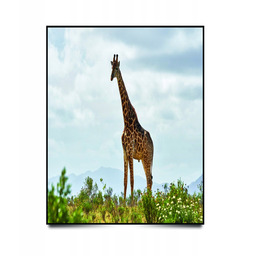 PUZZLE Pejzaż Krajobraz Afryka Żyrafa A3 252 el