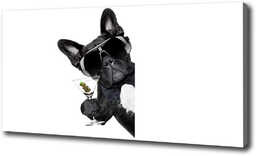 Foto obraz na płótnie Pies z martini